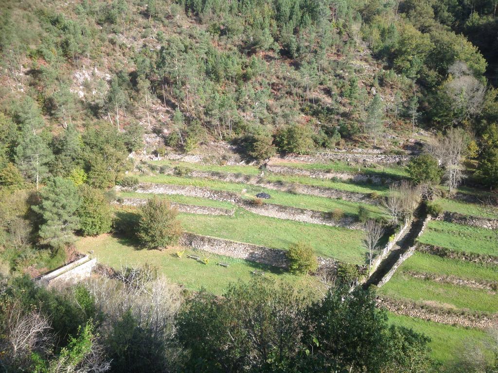 Casa Da Avo Villa Arcos de Valdevez Dış mekan fotoğraf